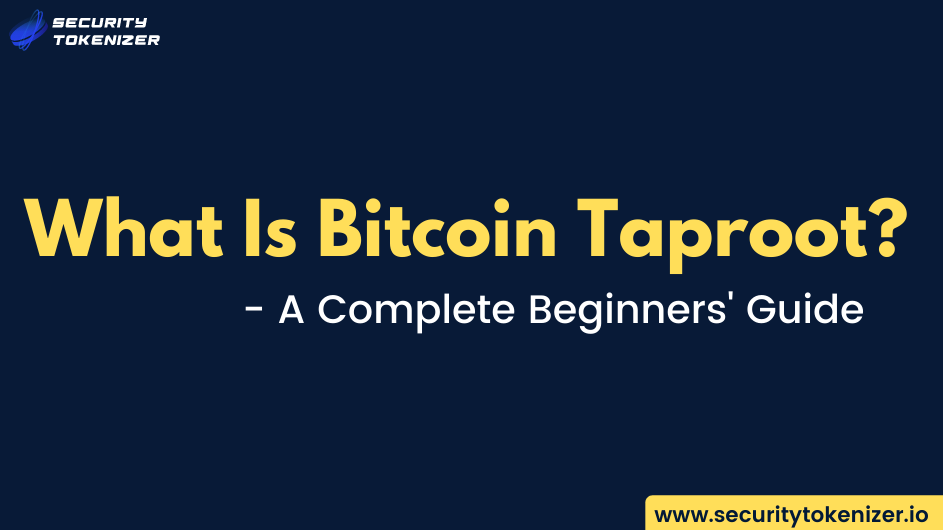 What is Bitcoin Taproot? - The Beginners’ Guide